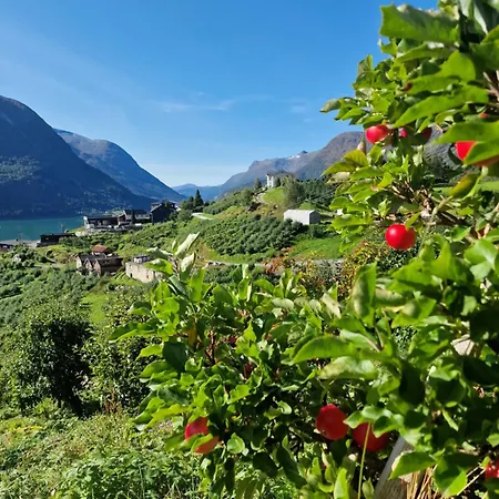 Flo Bellevue וילה