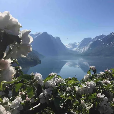 Flo Bellevue 史特林