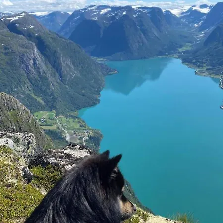 别墅 Flo Bellevue 史特林