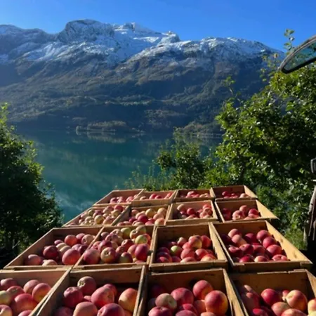 Flo Bellevue * סטרין
