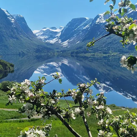 Flo Bellevue וילה *