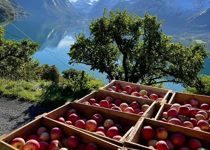 Flo Bellevue Villa *