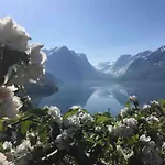 Flo Bellevue سترين